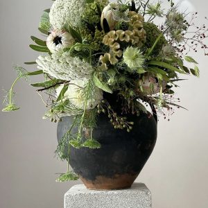 Abonament anual pentru casă