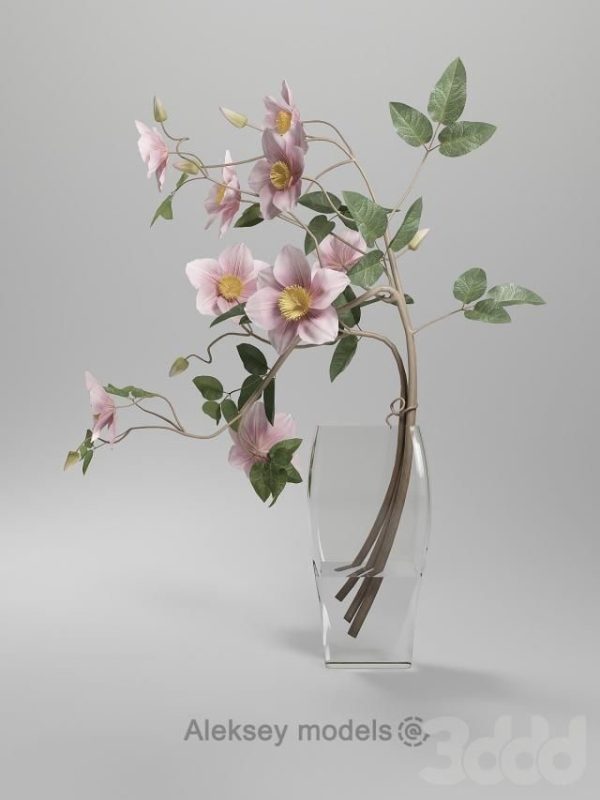Abonament anual pentru showroom "Gorgeous" - imagine 5