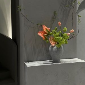 Abonament anual pentru showroom