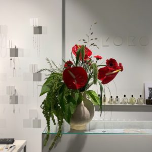 Abonament lunar pentru showroom