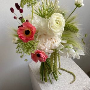 Abonament lunar pentru casă