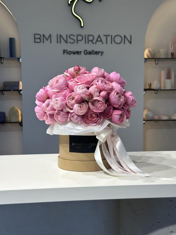 Silva Pink box - imagine 5