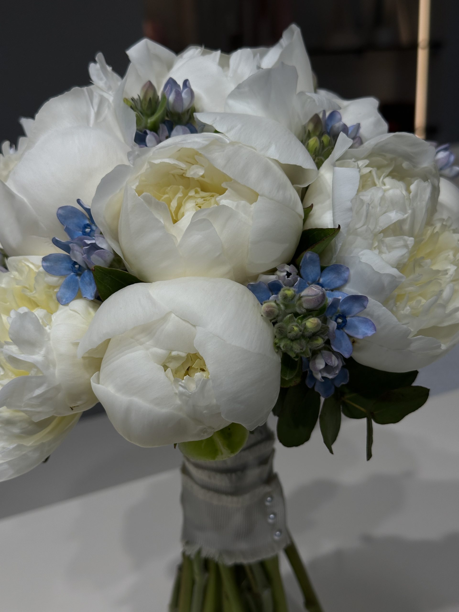 Oxipethalum Accent Bridal - imagine 6