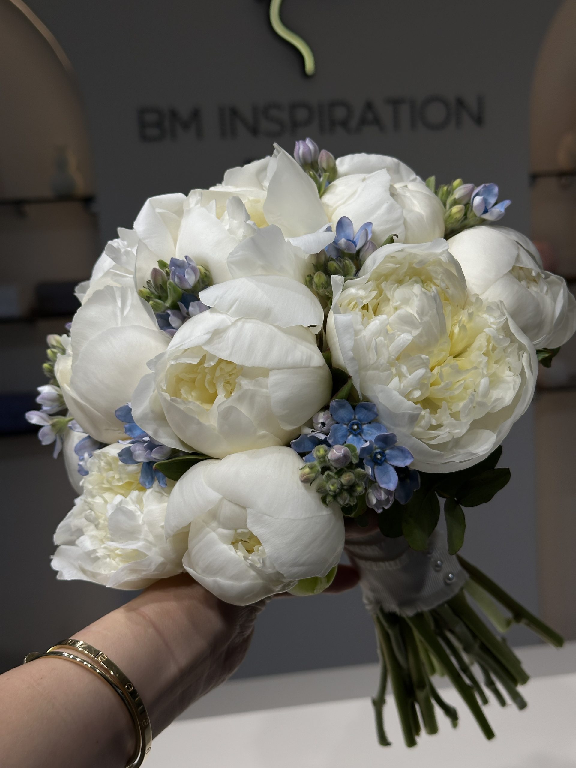 Oxipethalum Accent Bridal