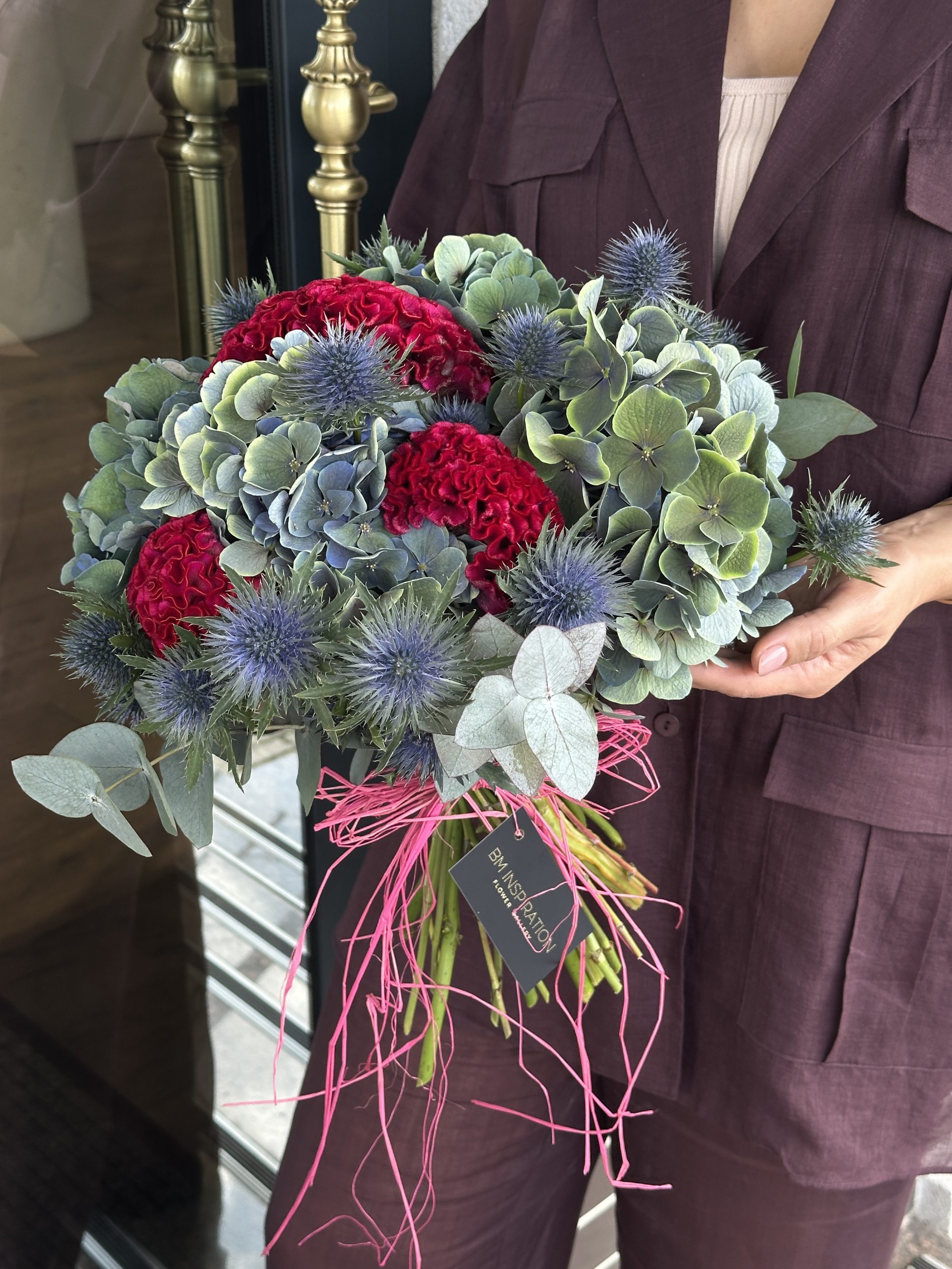 Celosia accent