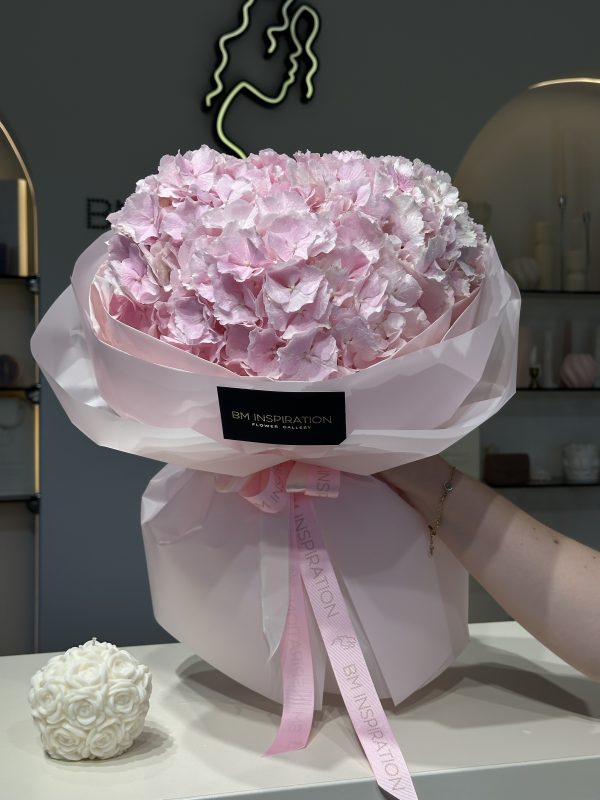 3 hydrangea