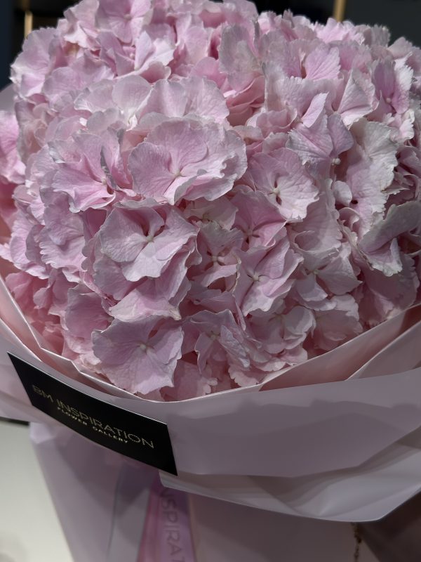 3 hydrangea - imagine 7
