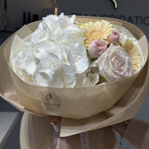 complement Hydrangea