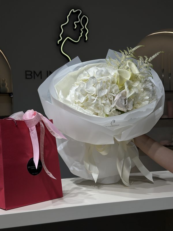 all WHITE - imagine 3