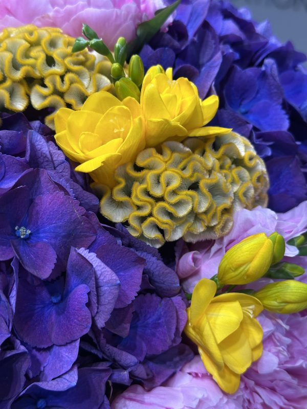 full color BOUQUET - imagine 4