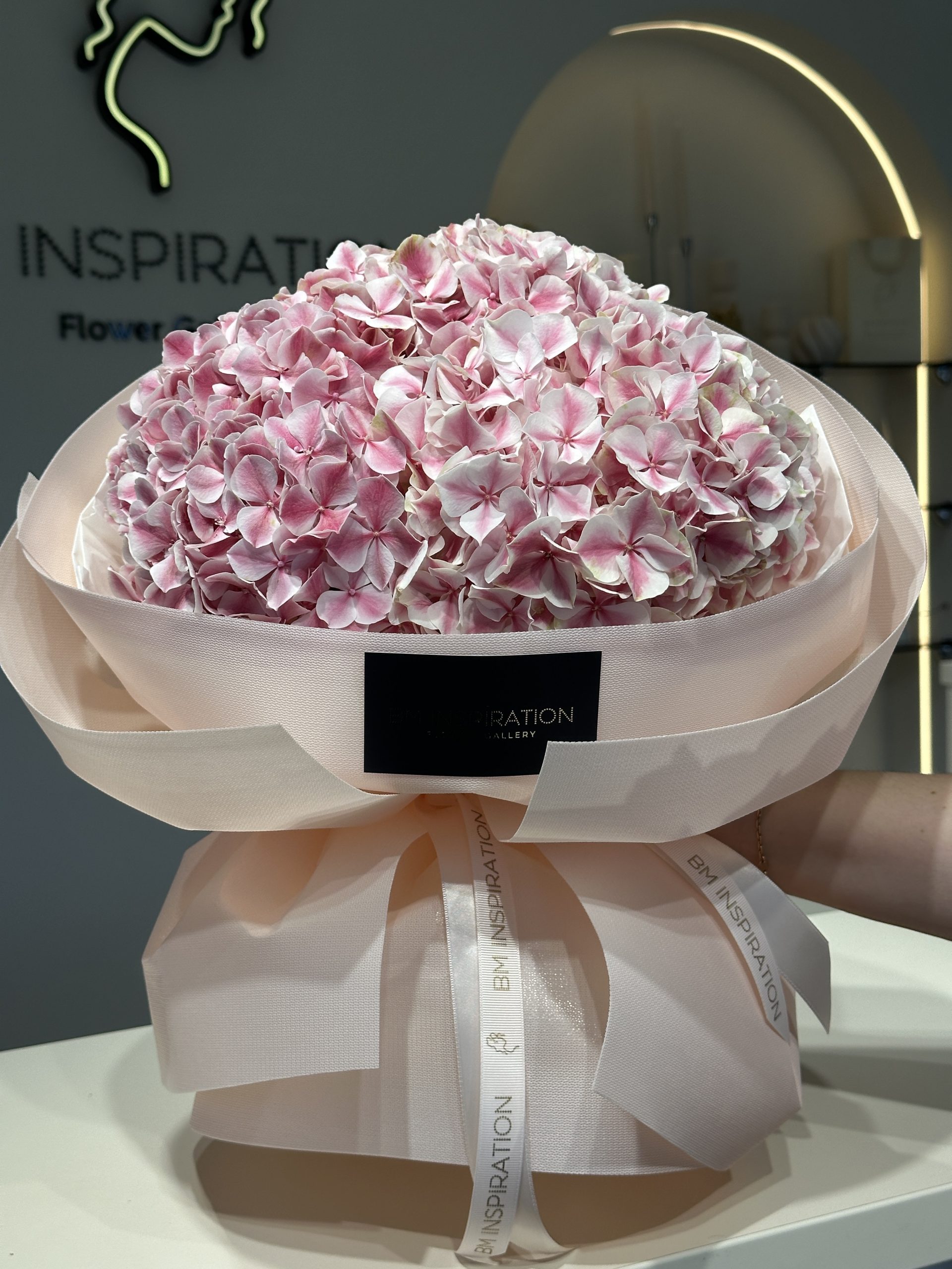 pink special HYDRANGEA