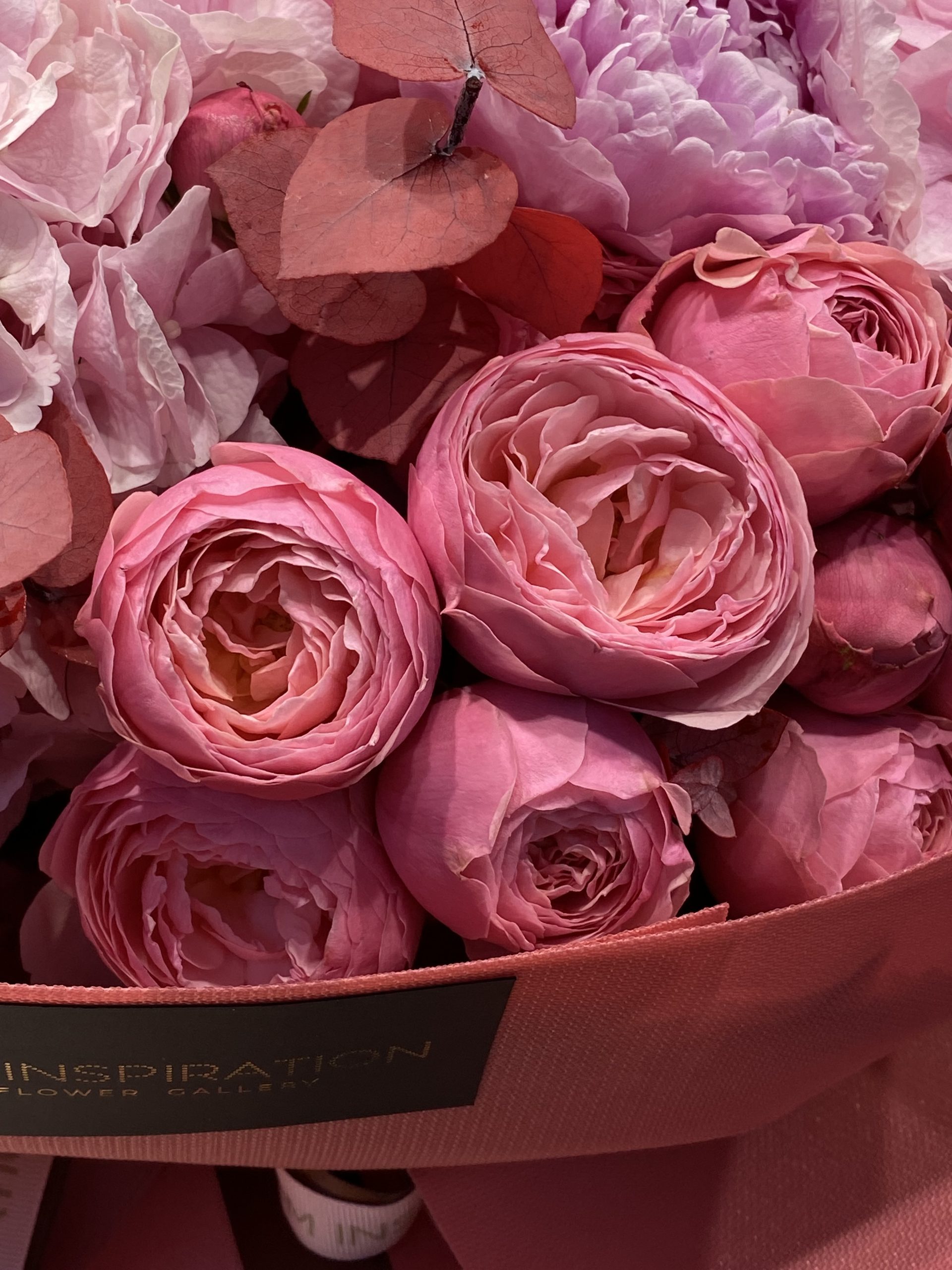 50 shades of pink - imagine 6