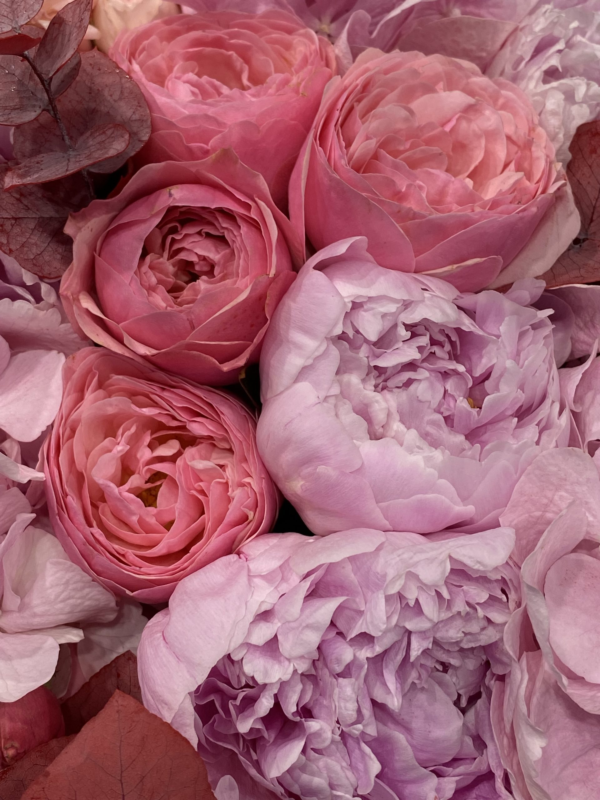 50 shades of pink - imagine 5