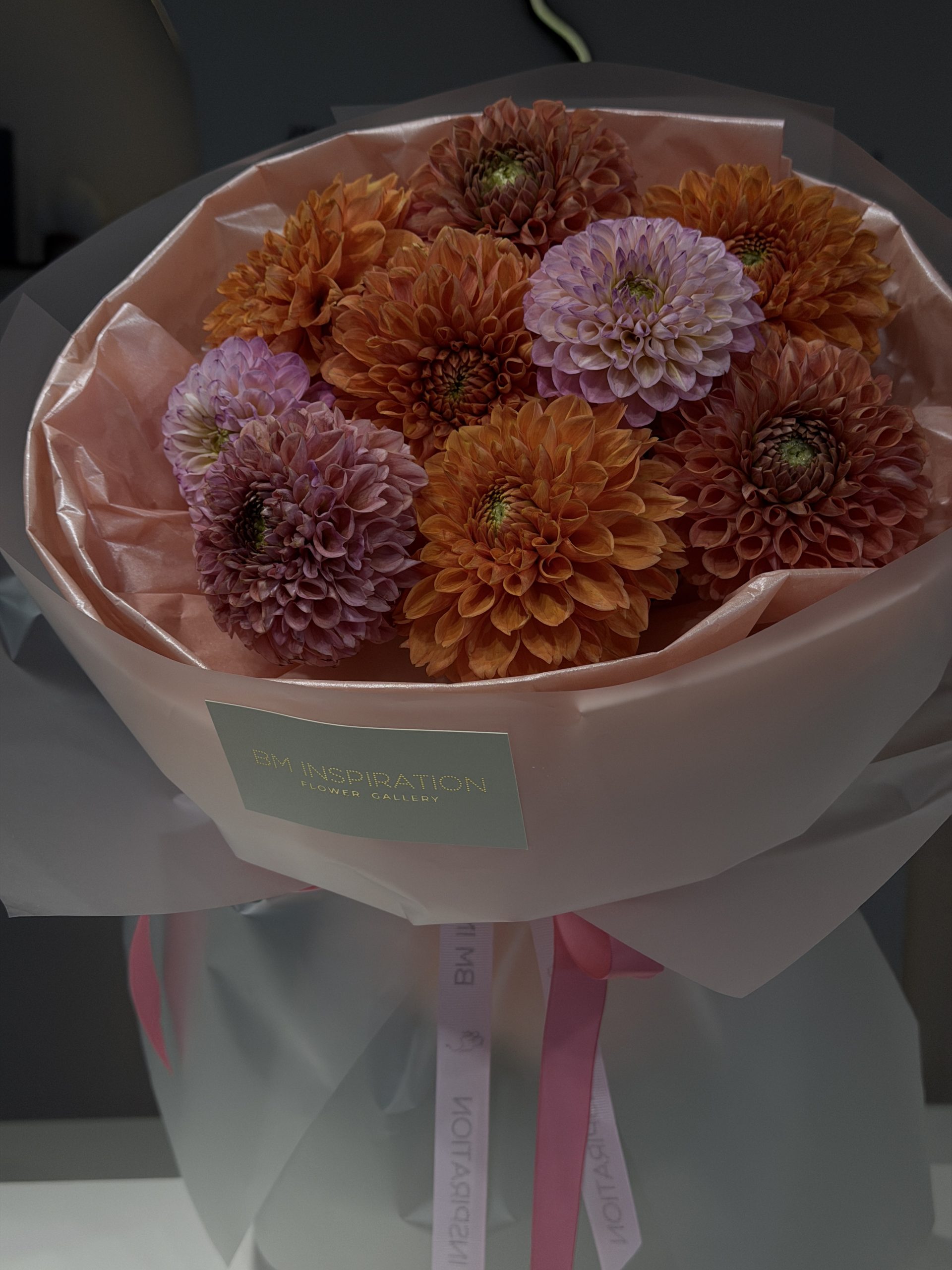 DHALIA beautiful - imagine 5